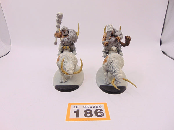 Mournfang Cavalry Pack