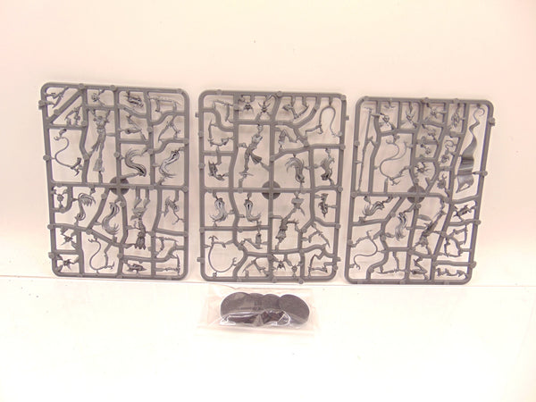 Sisters of Slaughter / Witch Aelves