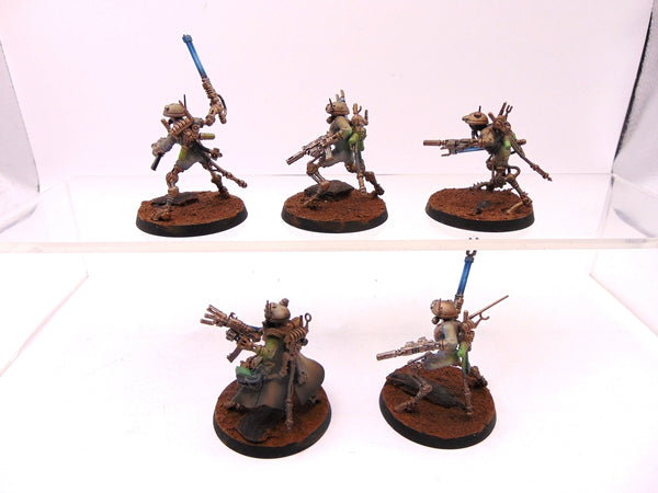 Sicarian Infiltrators