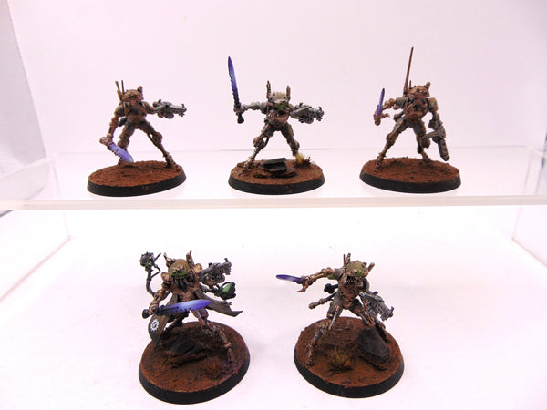 Sicarian Infiltrators