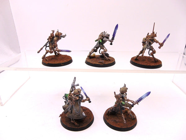 Sicarian Infiltrators
