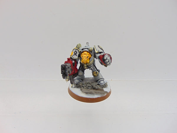 Space Wolf Terminator