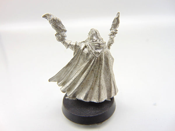 Radagast the Brown