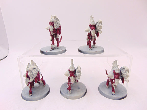 Barbgaunts