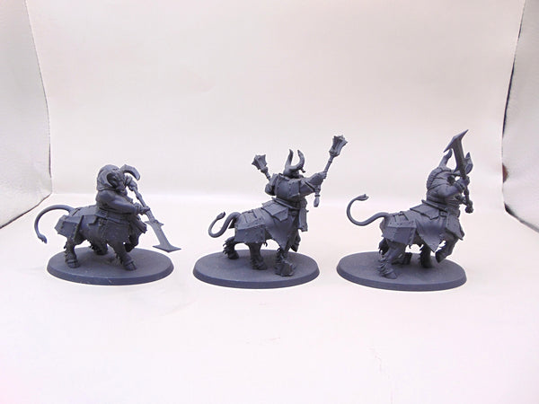 Bull Centaurs / Annointed Sentinel