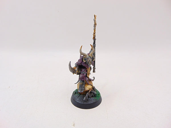 Grey Seer