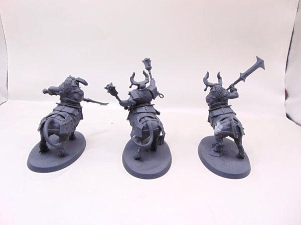 Bull Centaurs / Annointed Sentinel