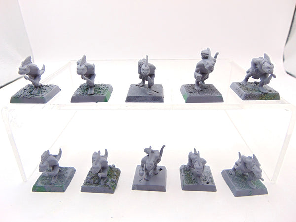 Skink Archers