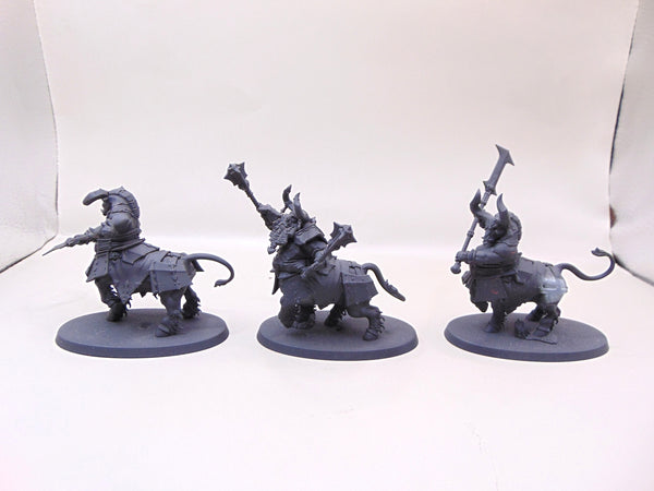 Bull Centaurs / Annointed Sentinel