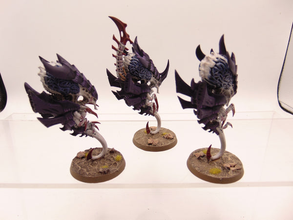 Zoanthropes