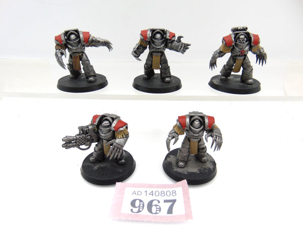 Cataphractii Terminator Squad