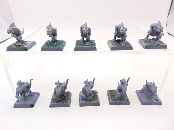 Skink Archers
