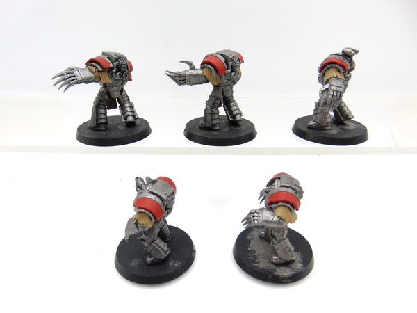 Cataphractii Terminator Squad