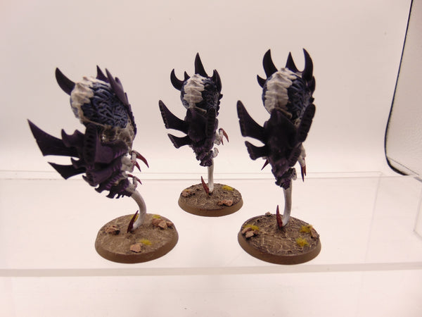 Zoanthropes