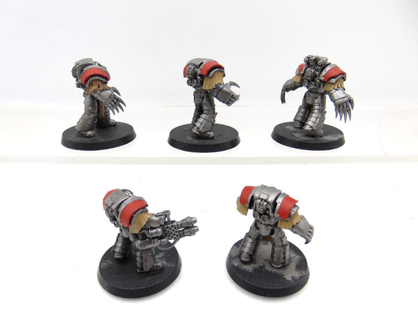 Cataphractii Terminator Squad