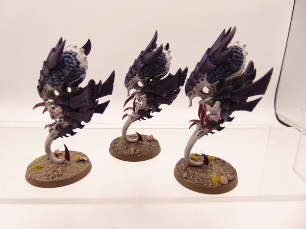 Zoanthropes