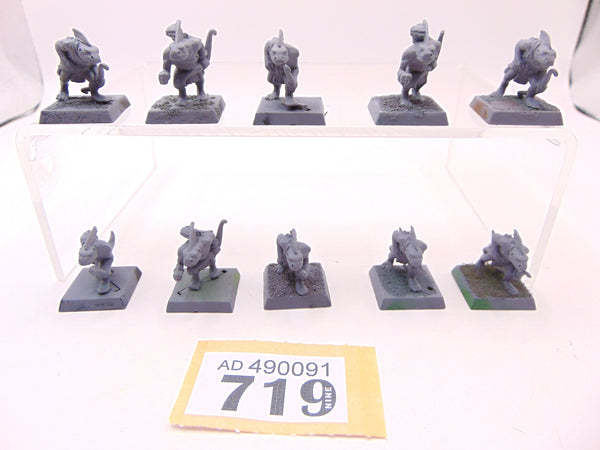 Skink Archers