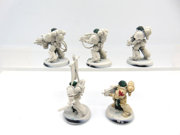 Sternguard Veterans