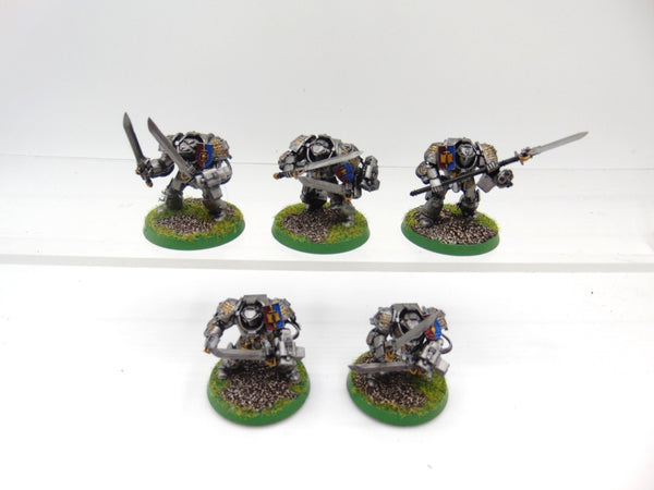 Brotherhood Terminator Squad