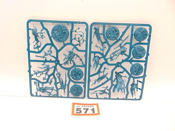 Thorns of the Briar Queen