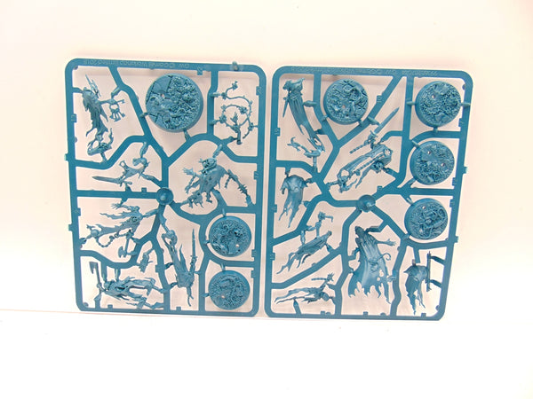 Thorns of the Briar Queen