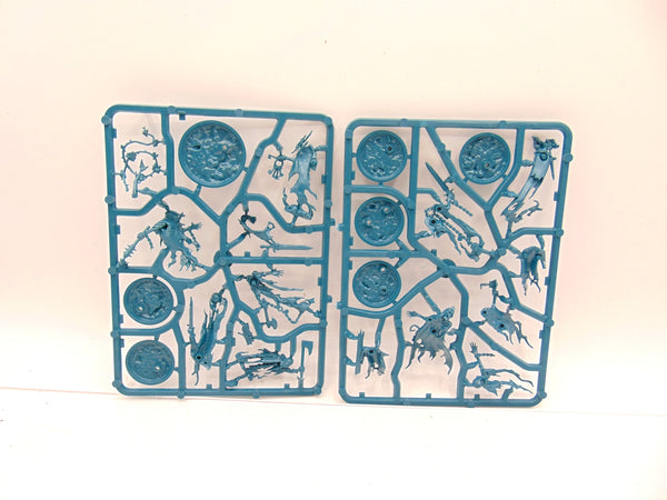 Thorns of the Briar Queen