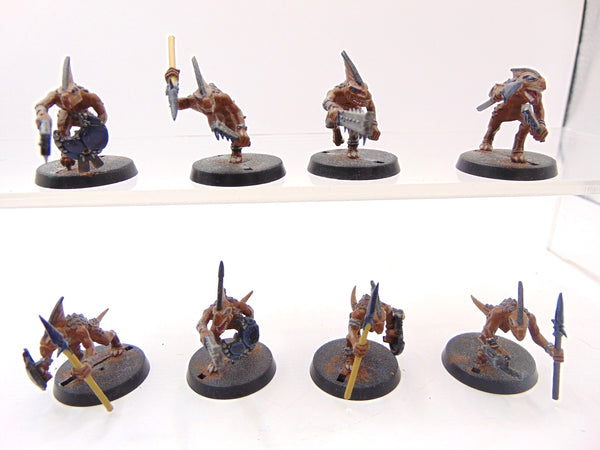 Skinks