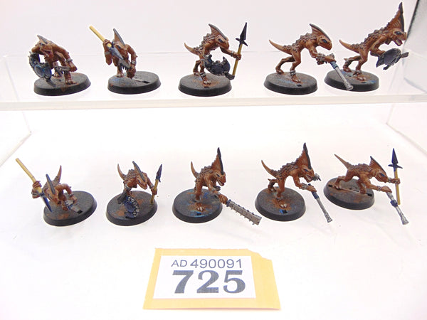 Skinks