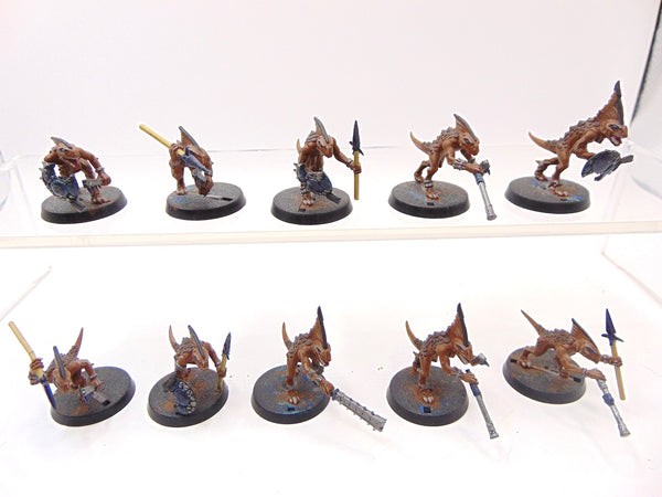 Skinks