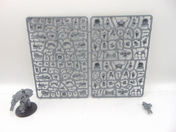 Saturnine Terminators