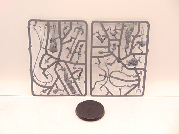 Syll'Esske The Vengeful Allegiance