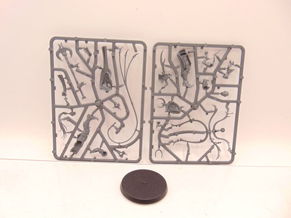 Syll'Esske The Vengeful Allegiance