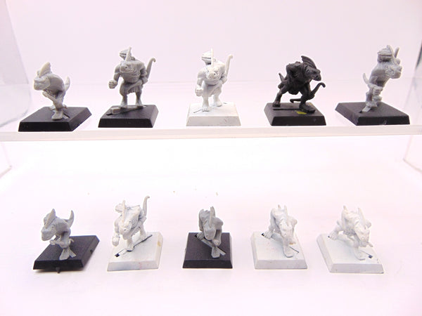 Skink Archers