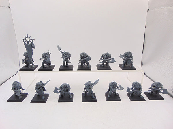 Chaos Marauders