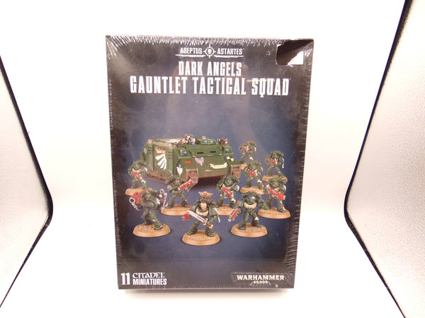 Dark Angels Gauntlet Tactical Squad