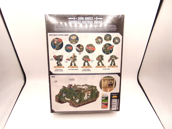 Dark Angels Gauntlet Tactical Squad