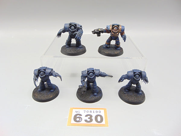 Cataphractii Terminator Squad