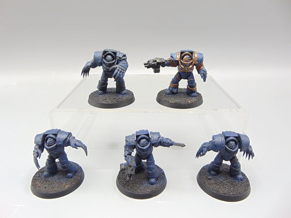 Cataphractii Terminator Squad