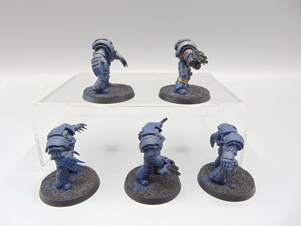 Cataphractii Terminator Squad