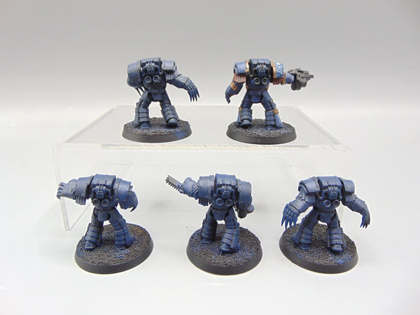 Cataphractii Terminator Squad