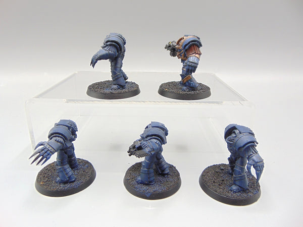 Cataphractii Terminator Squad