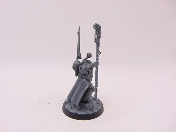 Chief Librarian Tigurius