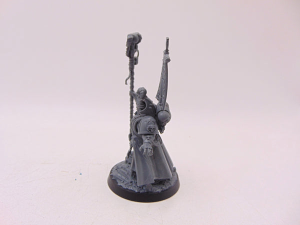 Chief Librarian Tigurius