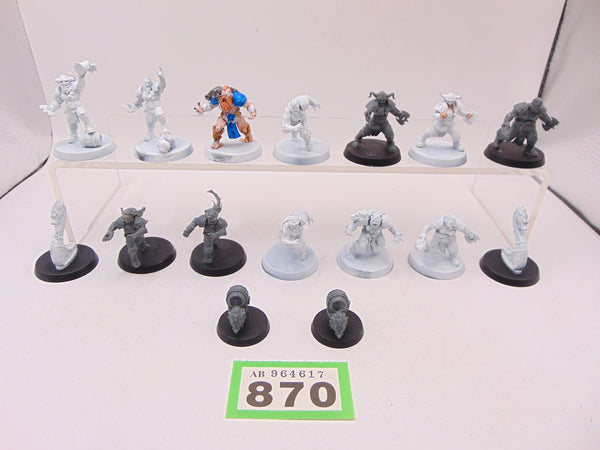 Norse Blood Bowl Team