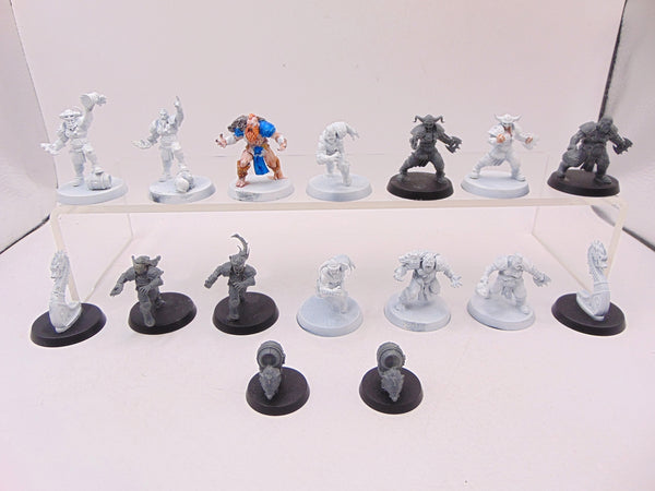 Norse Blood Bowl Team