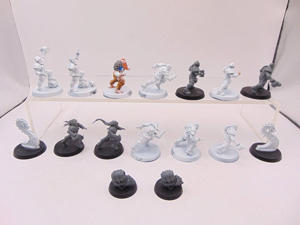 Norse Blood Bowl Team