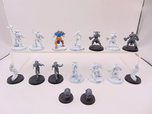 Norse Blood Bowl Team