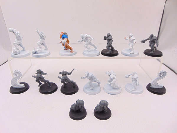 Norse Blood Bowl Team