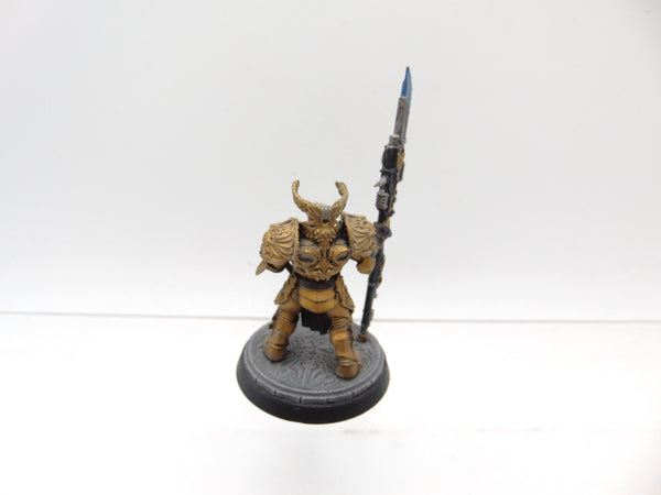 Shield Captain Valerian