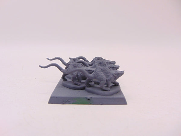Warhammer Quest Rats / Rat Swarm